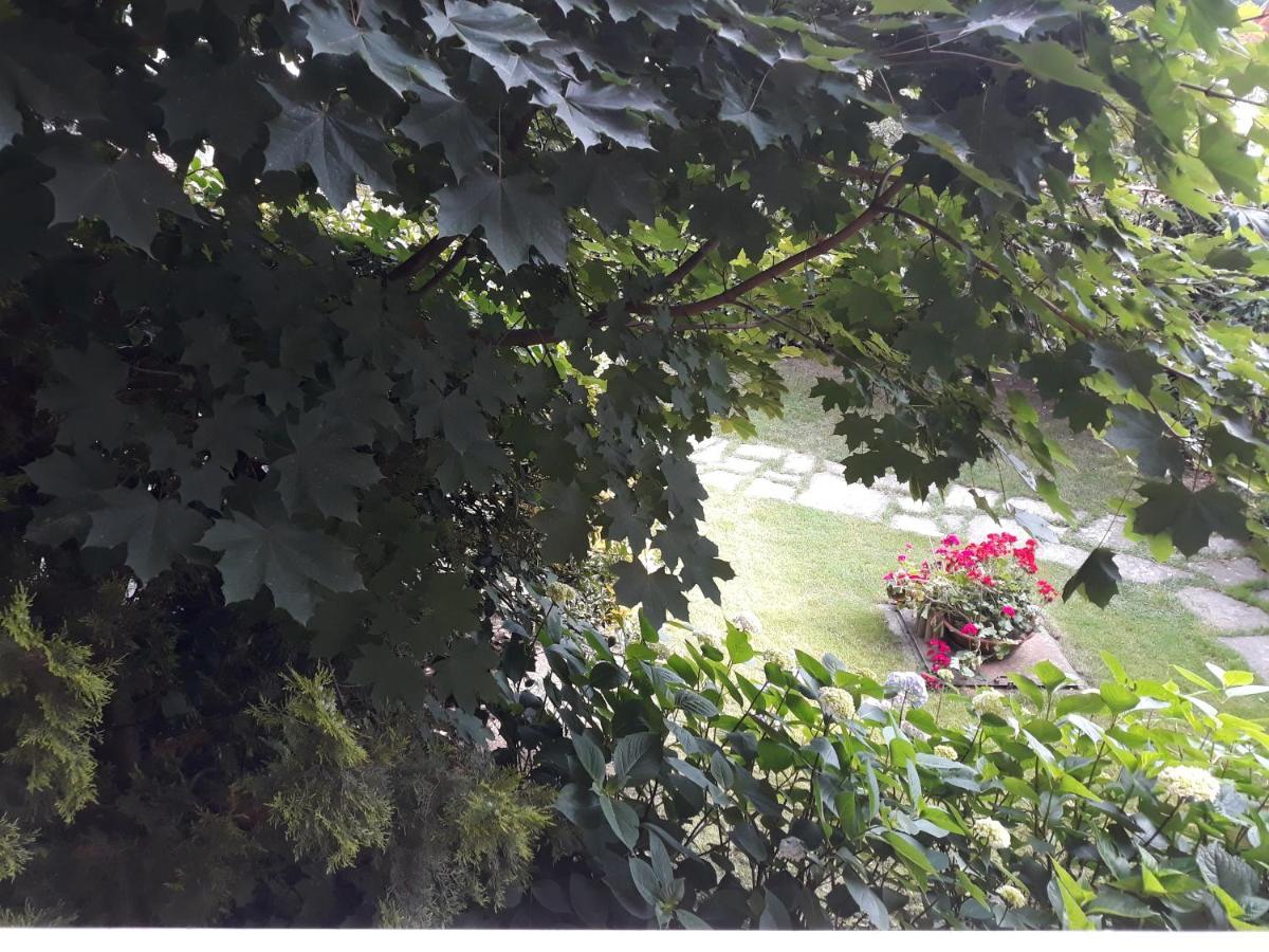 Il Melograno Bed and Breakfast Borgo San Dalmazzo Buitenkant foto
