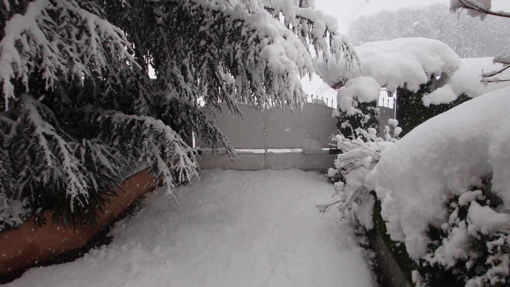 Il Melograno Bed and Breakfast Borgo San Dalmazzo Buitenkant foto